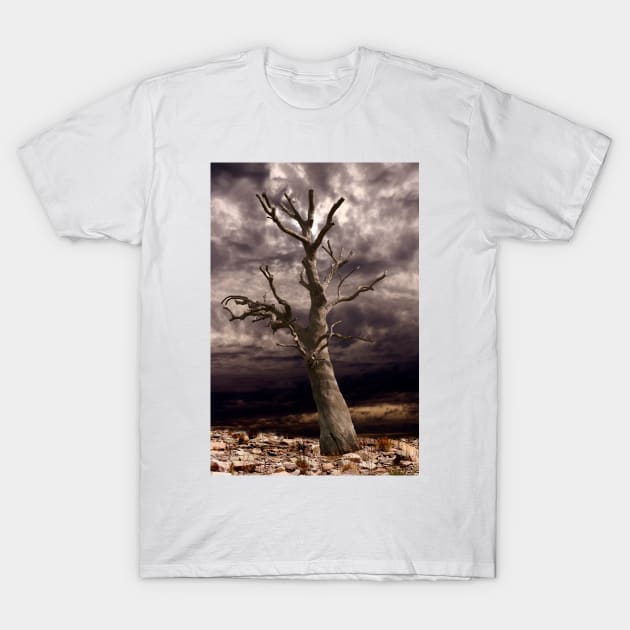 Dead Tree against the Storm T-Shirt by jwwallace